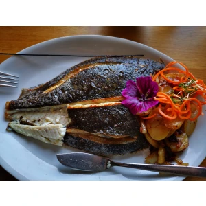 Fischrestaurant Waterblick