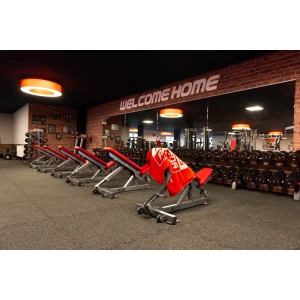 Fitness Arena Lutherstadt Wittenberg