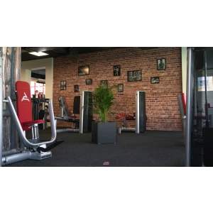 Fitness Arena Radebeul
