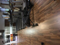Bild: Fitness Treff Pro Gesundheit e.V. in Essen, Ruhr