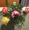 Bild: Florale Werkstatt