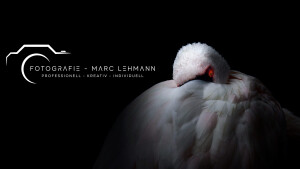 Fotografie_Marc_Lehmann_Hero_43.jpg
