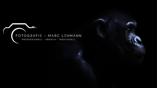 Fotografie_Marc_Lehmann_Hero_44.jpg