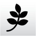 Logo Beautytreff Kunze