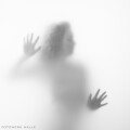 FOTOWERK HALLE- Fotograf Halle