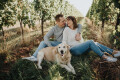 Bild: Frank Martini Photography in Greimerath bei Trier