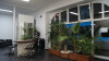 Bild: Friseur Eberle