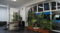 Bild: Friseur Eberle in Heidelberg, Neckar