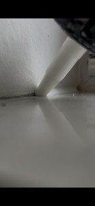 IMG_7519.png