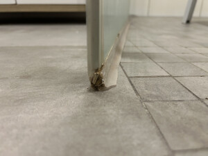 IMG_7279.jpeg
