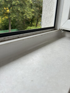 IMG_7047.jpeg