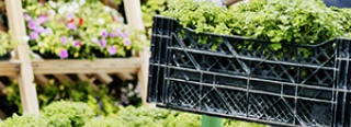 Beste Gartencenter in Leipzig & der Nhe  Top Bewertungen & Ranking 2026   wer kennt den BESTEN
