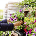 Gärtnermarkt Sattel Obst Gemüse Blumen