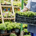 Gärtnermarkt Sattel Obst Gemüse Blumen