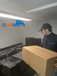 Gant-Move mit Karton.png