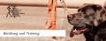 Logo ganz.-einfach-hund