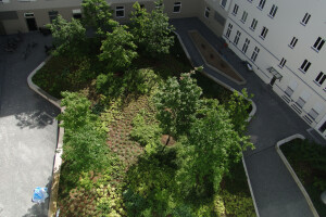 Berliner Quartier Auswärtiges Amt,Natursteinpflasterarbeiten,Tiefgaragenbegrünung mit Großbaumbepflanzung