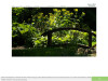 Bild: Garten u. Landschaftsbau Schmitz