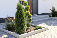 Die 10 Besten Gartenbauer In Ludwigshafen 2021 Wer Kennt Den Besten