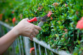 Bild: Garten- und Landschaftsbau Aridi in Essen, Ruhr