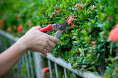 Bild: Garten- und Landschaftsbau Aridi in Essen