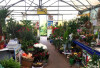 Bild: Garten und Landschaftsbau Bartoszewski