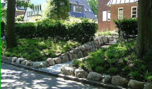 Gartengestaltung Baümfällen Elbvororte Hamburg