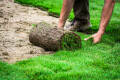 Bild: Garten- und Landschaftsbau Michael Schaffrin in Dortmund