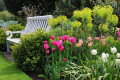 Bild: Gartenbau Maliqi in Oberhausen, Rheinland