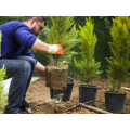 Gartencenter Seebauer KG Baumschule Gartengestaltung