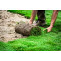 Gartengestaltung Glossner