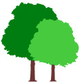 Bild: Gartenpflege Klaßen in Viersen
