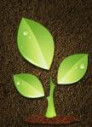 Logo Gartenservice-Cladow