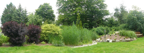 Gartenpflege