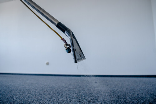 Teppichreinigung Sprühextraktionsgerät