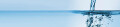 Logo Gebäudereinigung Grün
