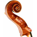 Geigenbau Ulrike Glinsböckel
