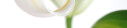 Logo Gemeinschaftspraxis Dres.Julia Hedrich und Hans M.Hedrich