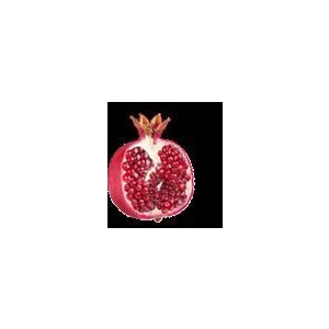 Gemeinschaftspraxis Praxisklinik am Anger Kinderwunschzentrum Erfurt