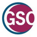 German Scholars Organisation GSO