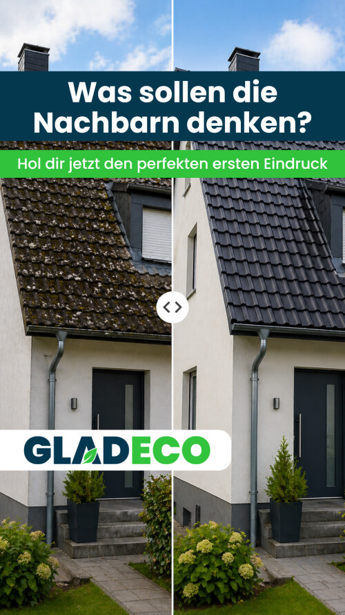 Gladeco - Story Ad 2.png