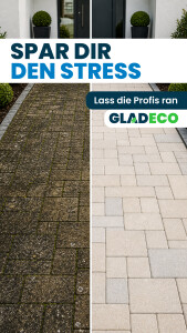 Gladeco - Story Ad 3(1).png
