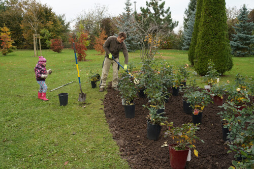 Gartengestaltung