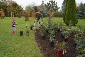Gartengestaltung