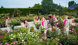 Gartenpflege