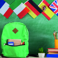 goFLUENT Germany