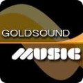 Goldsoundmusic Martin Werner Tonstudio