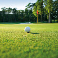 Golf-Club Golf Range Frankfurt GmbH & Co. KG Golfanlage