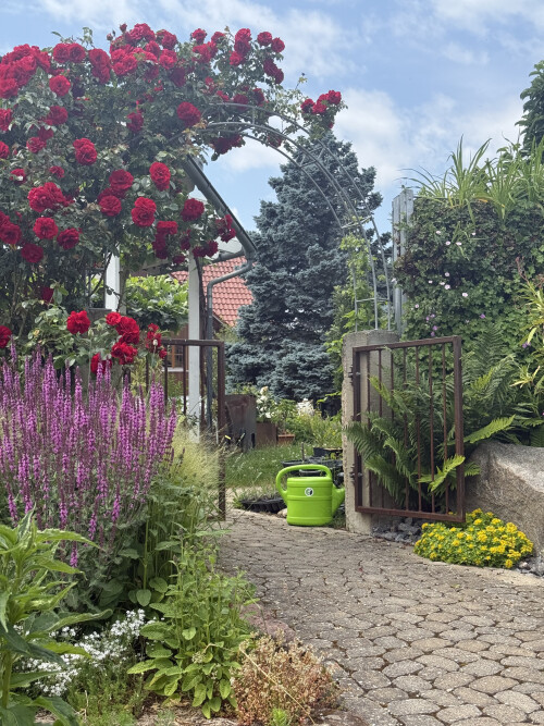 Herzlich Willkommen im Garten.jpeg