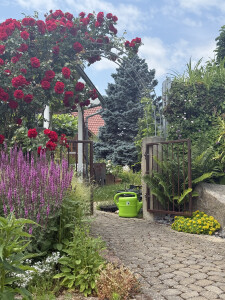 Herzlich Willkommen im Garten.jpeg